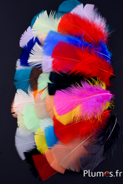 Dinde - 6-8 cm - multicolore